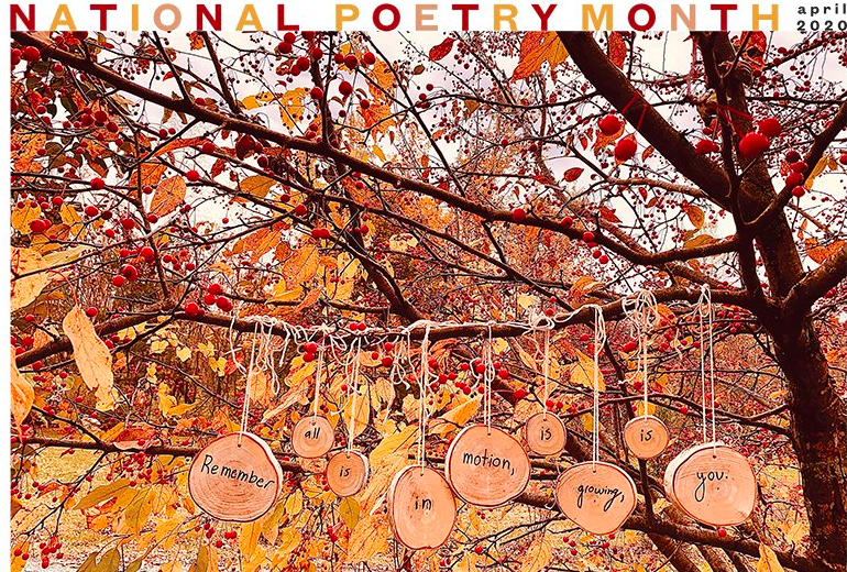 Screen Shot 2020-03-26 at 12.01.05 PM